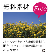 無料素材