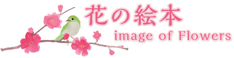 花の絵本-image of Flowers-
