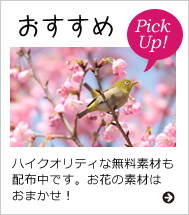 おすすめ素材